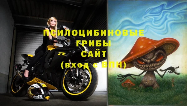 МДПВ Аркадак
