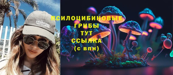 не бодяженный Арсеньев