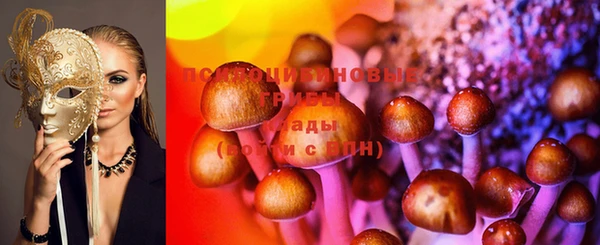 МДПВ Аркадак